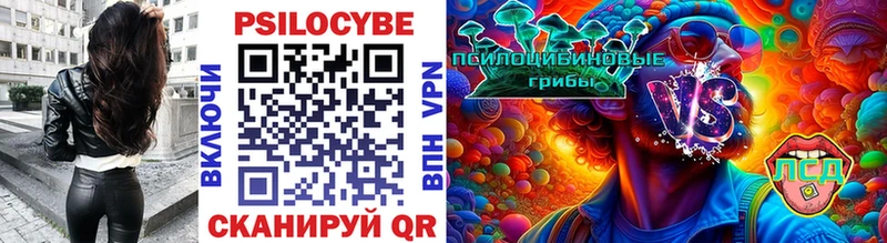 Псилоцибиновые грибы прущие грибы  как найти закладки  Шиханы 